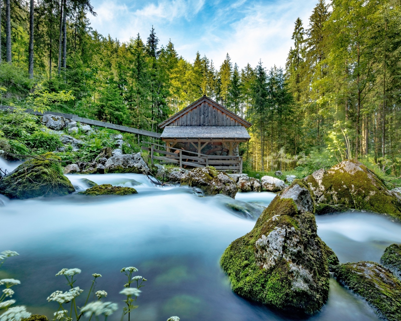 Старая хижина в лесу у горной реки
