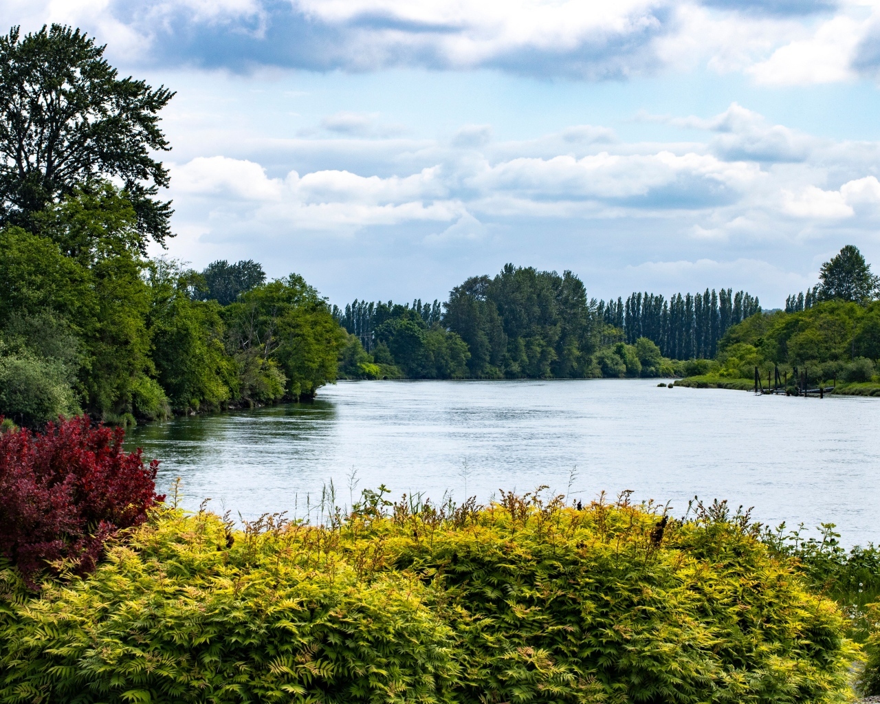 Тихая вода озера у парка летом