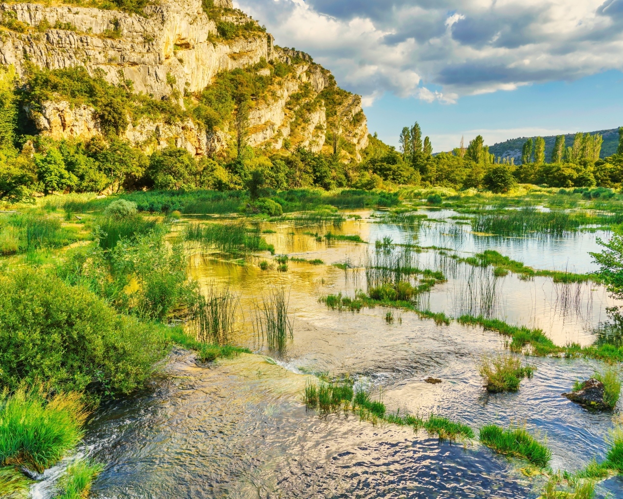 Река с зелеными растениями у горы