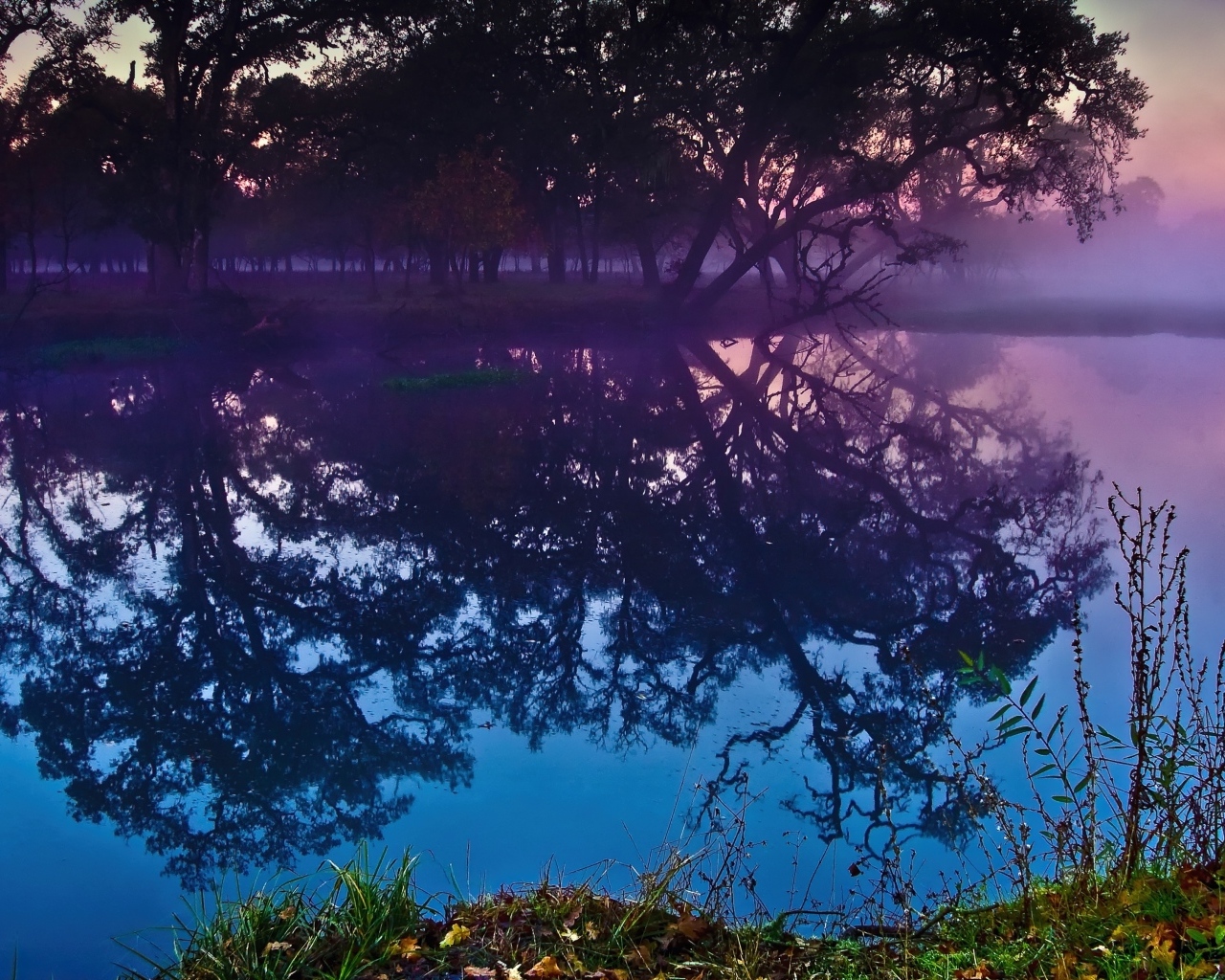 Деревья отражаются в воде озера в сумерках