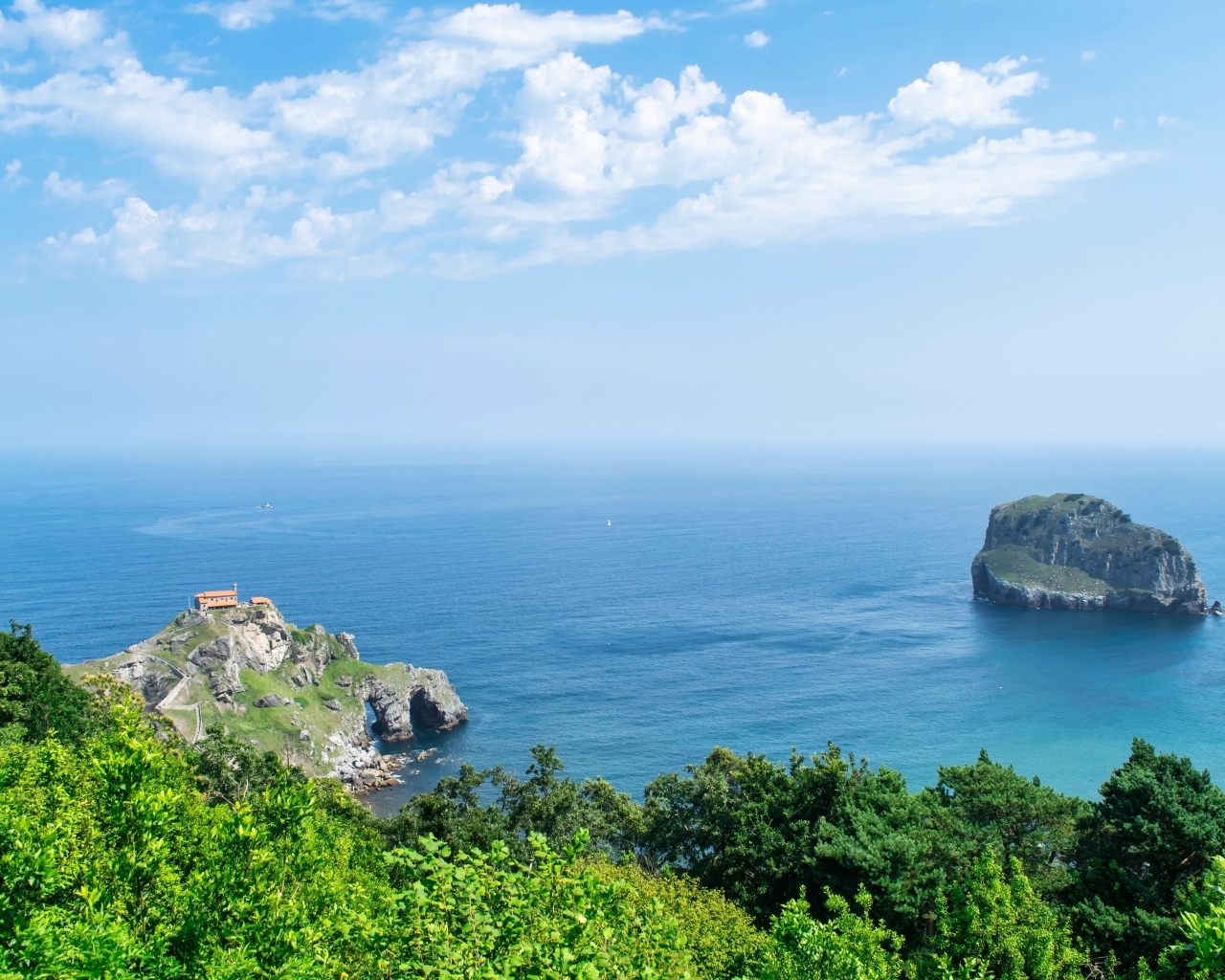 Красивый вид на море с покрытой деревьями горы