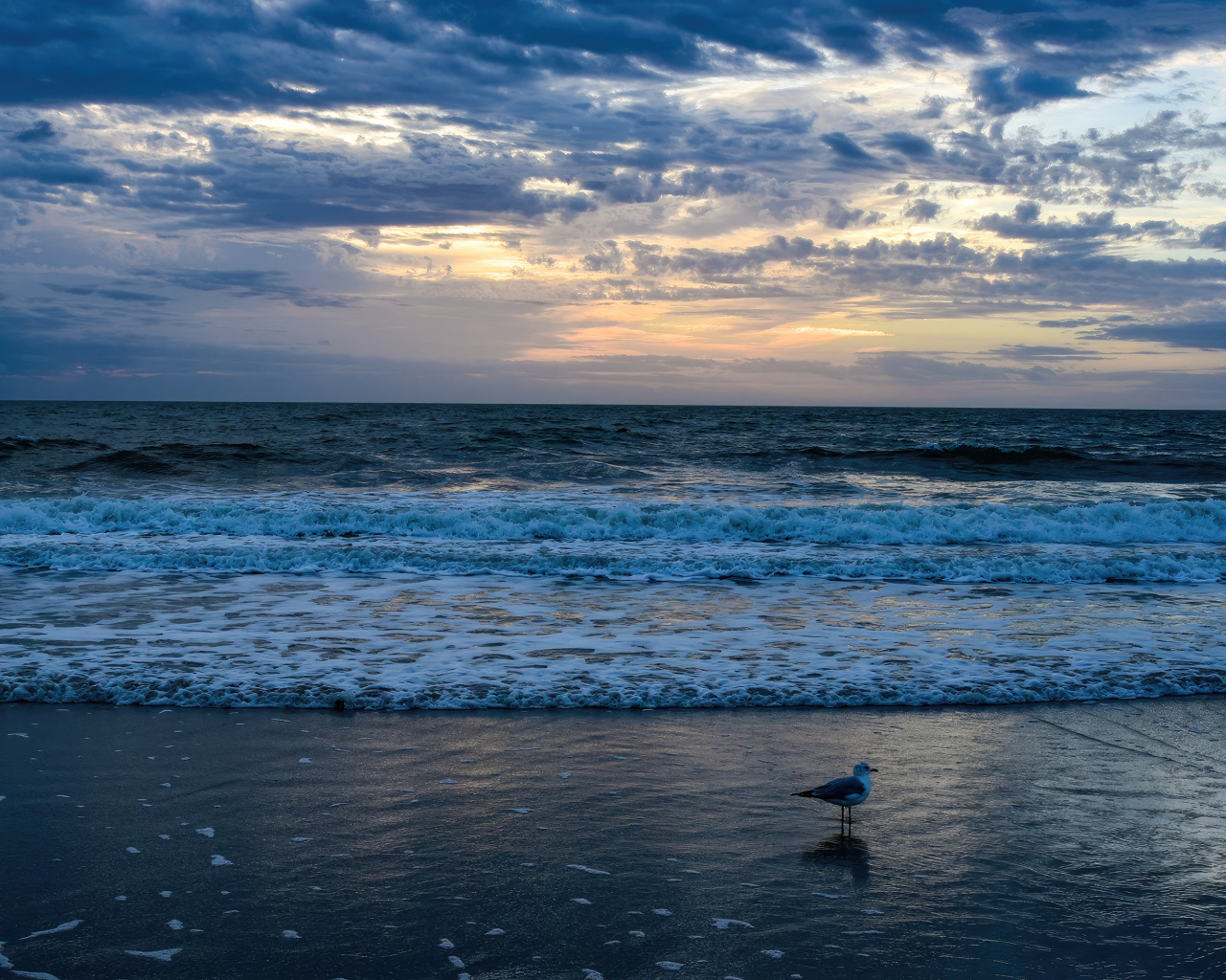 Белые волны окутывают берег моря на рассвете