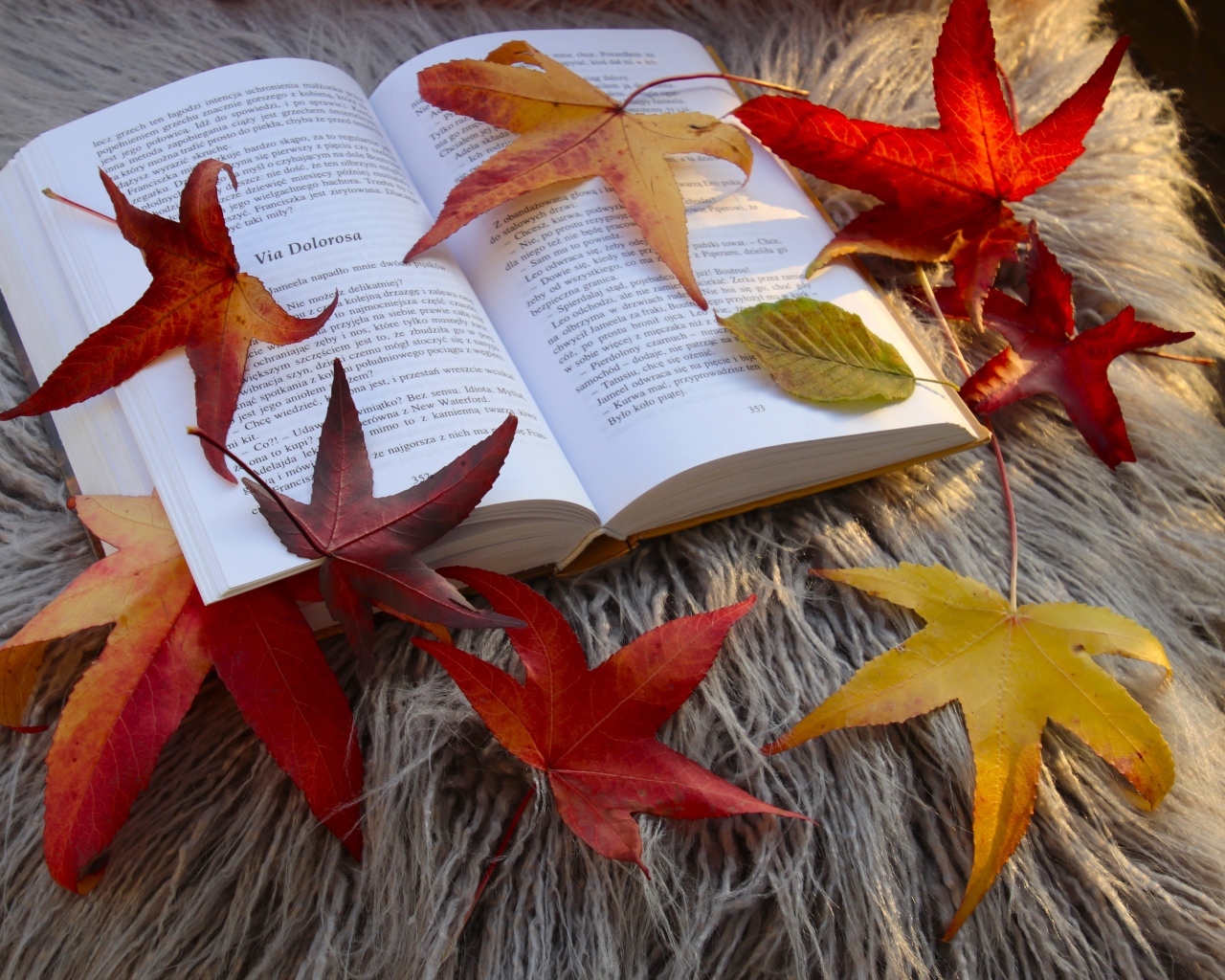 Книга с красивыми желтыми листьями