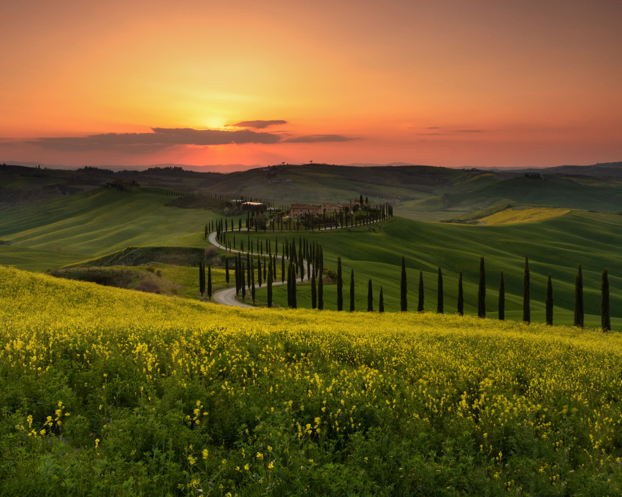 Красивый вид на зеленые холмы на закате