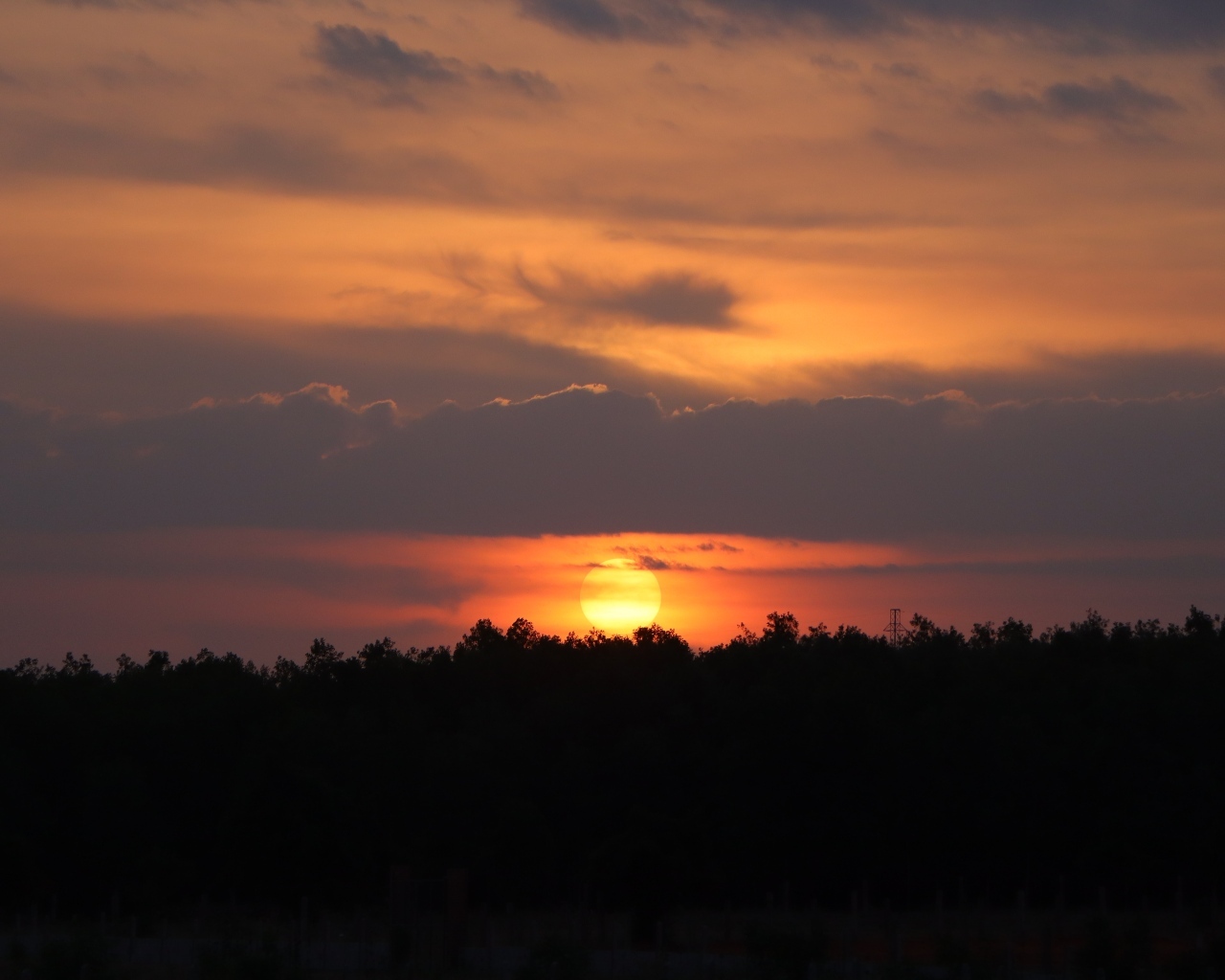 Яркое солнце садится за лесом
