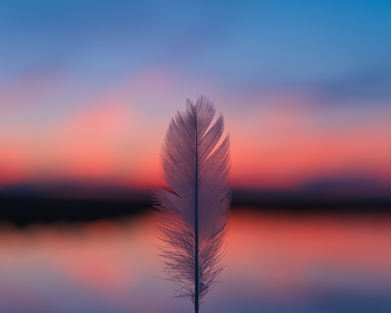 Белое перо на фоне красного неба на закате солнца