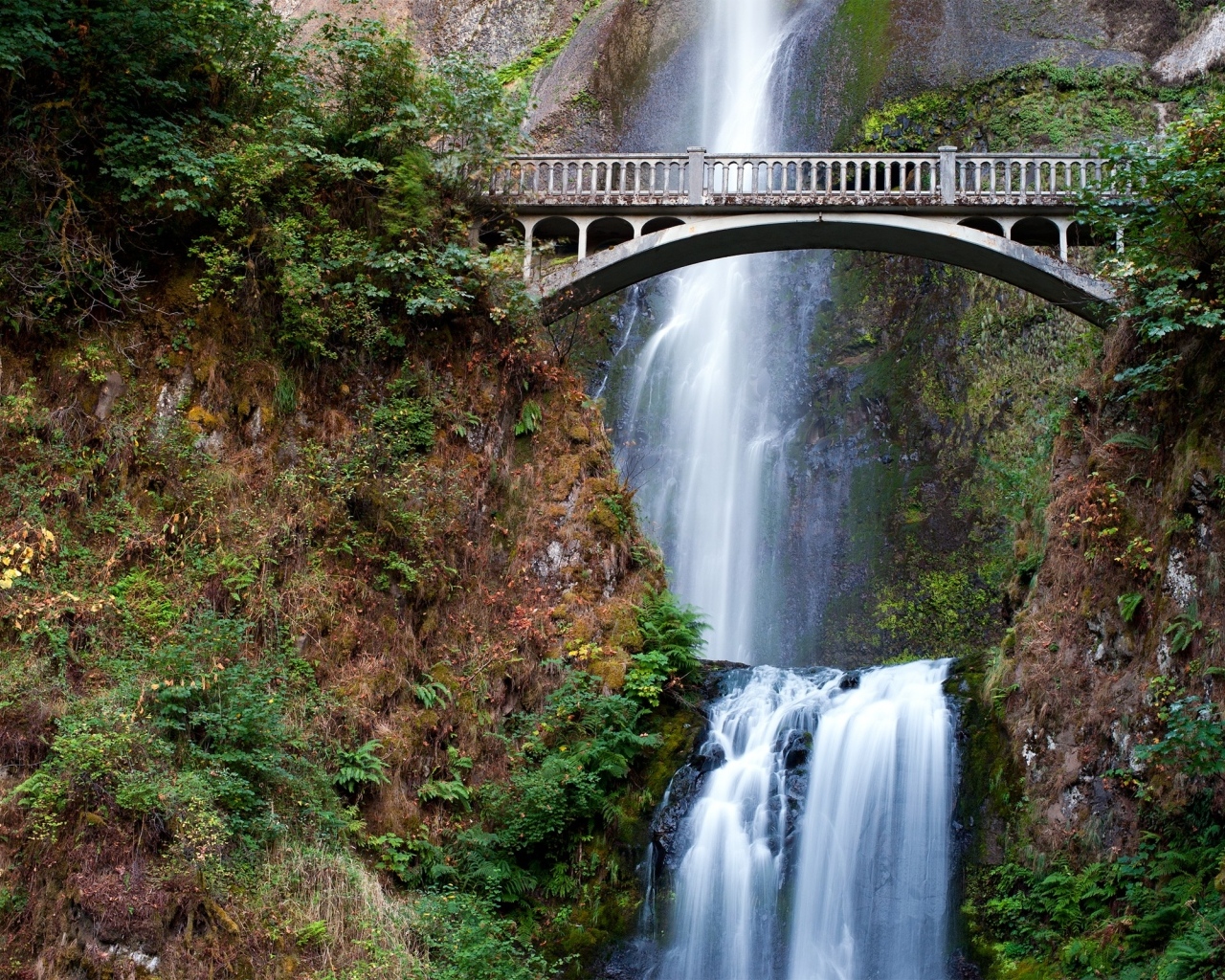 Красивый мост с водопадом в лесу
