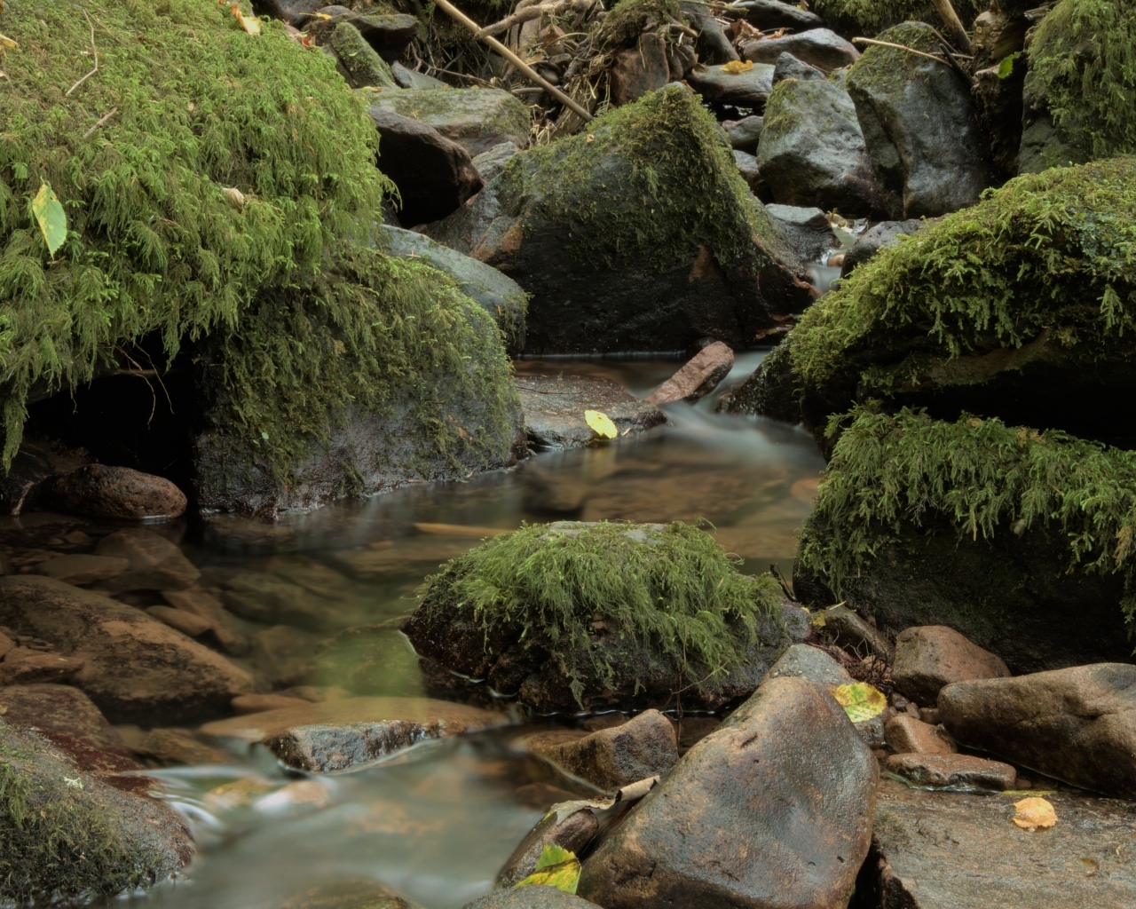 Лесной водопад стекает по холодным камням осенью