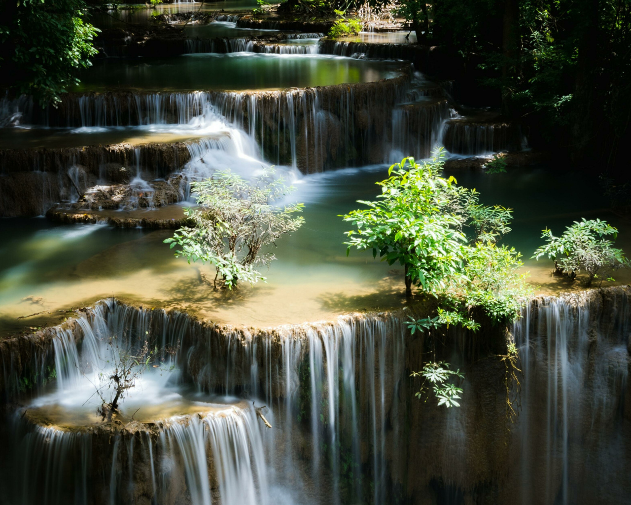 Водопад стекает по лесным порогам