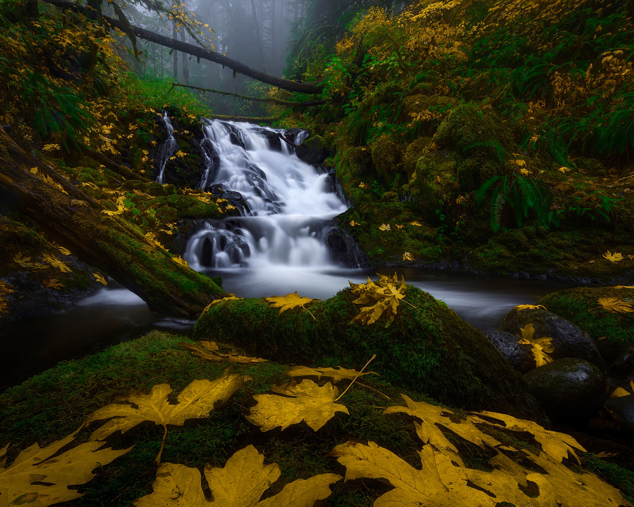 Водопад в лесу осенью