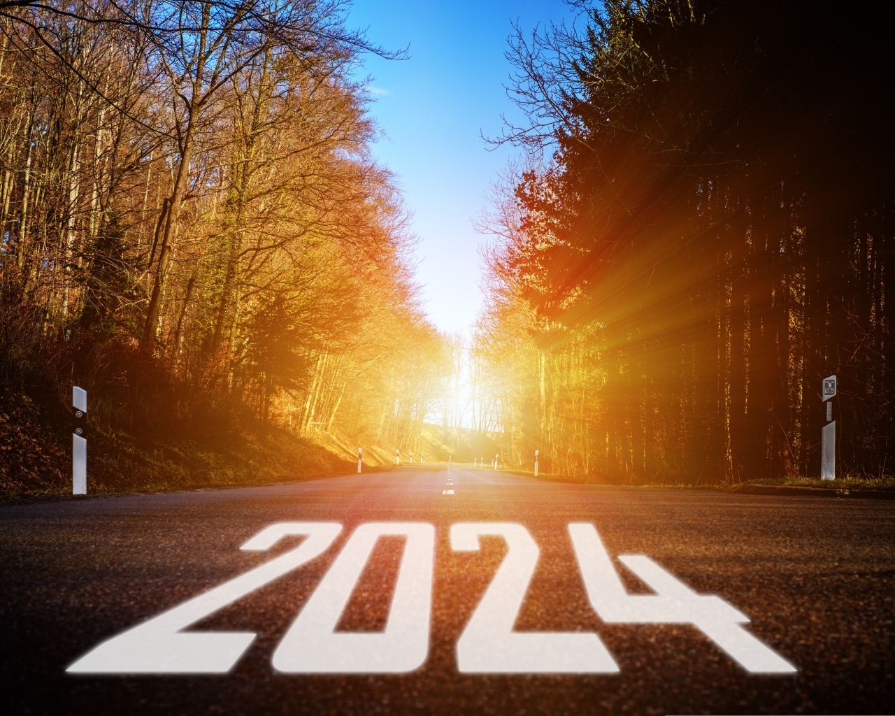 Белые цифры 2024 на дороге в лесу