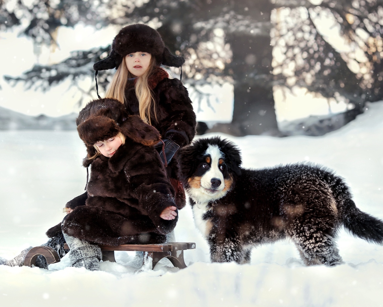 Дети на санках со щенком зимой