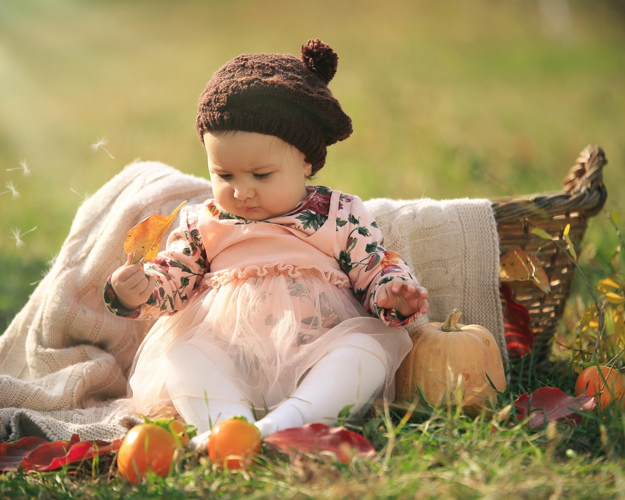 Смешная маленькая девочка сидит на траве с тыквой