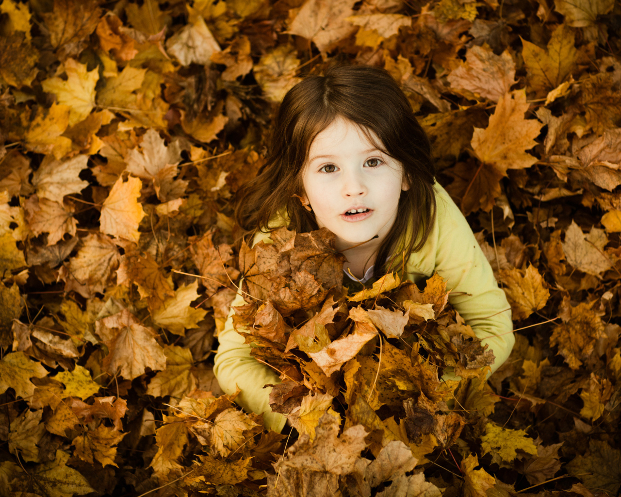 Девочка сидит в опавшей листве