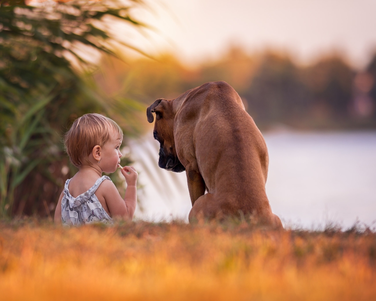 Девочка с собакой на берегу реки