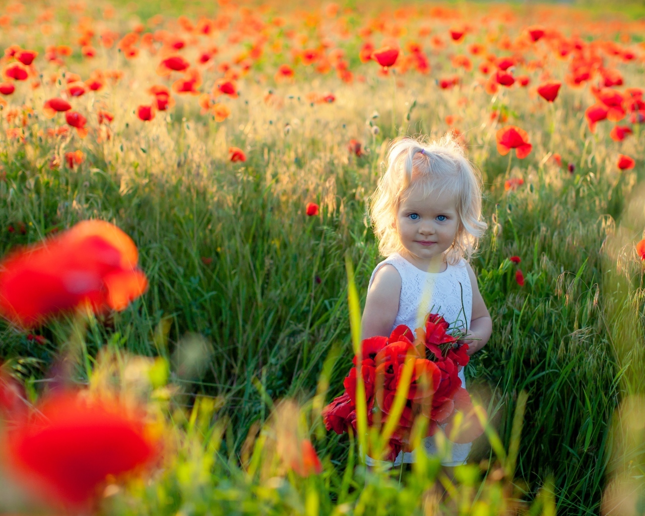 Маленькая голубоглазая девочка на поле с маками