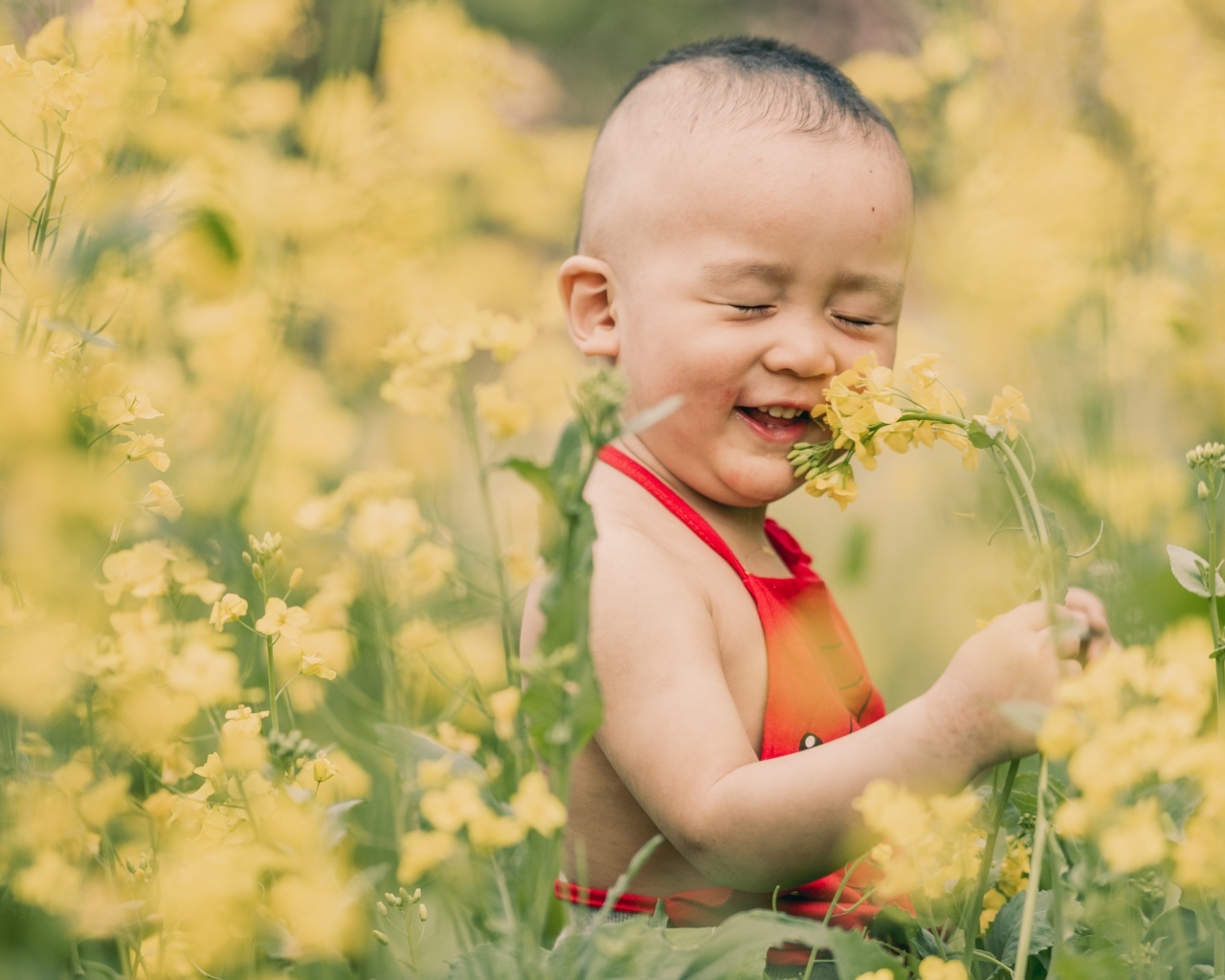 Маленький мальчик на поле с желтыми цветами