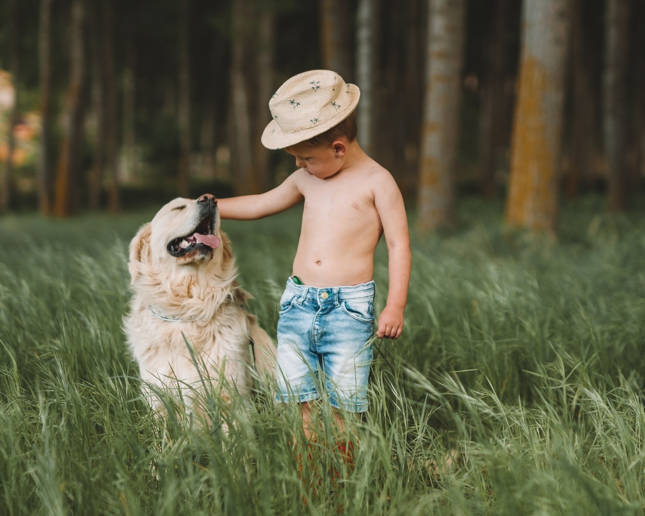 Маленький мальчик с золотистым ретриверов в траве