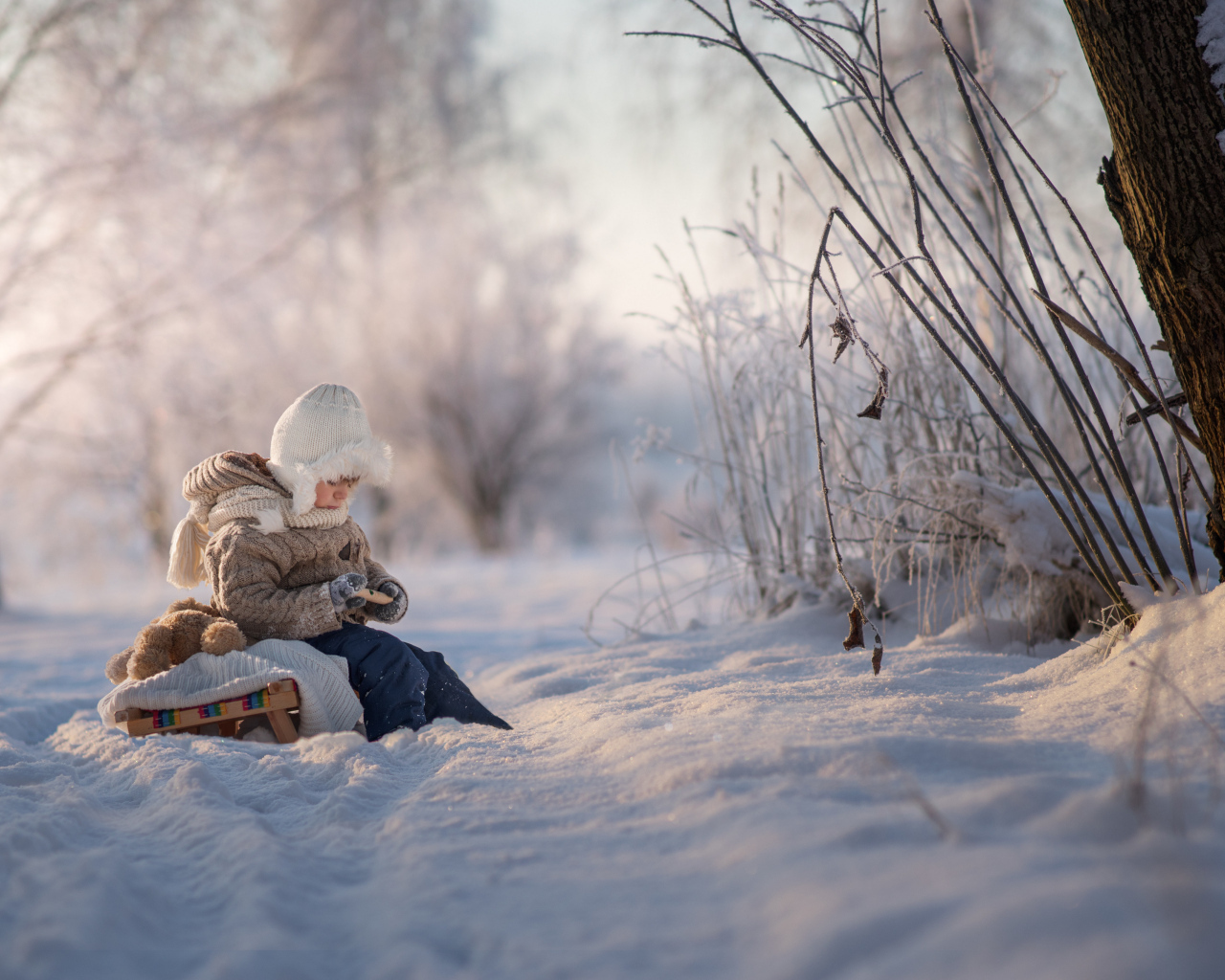 Маленький ребенок на санках в зимнем лесу 