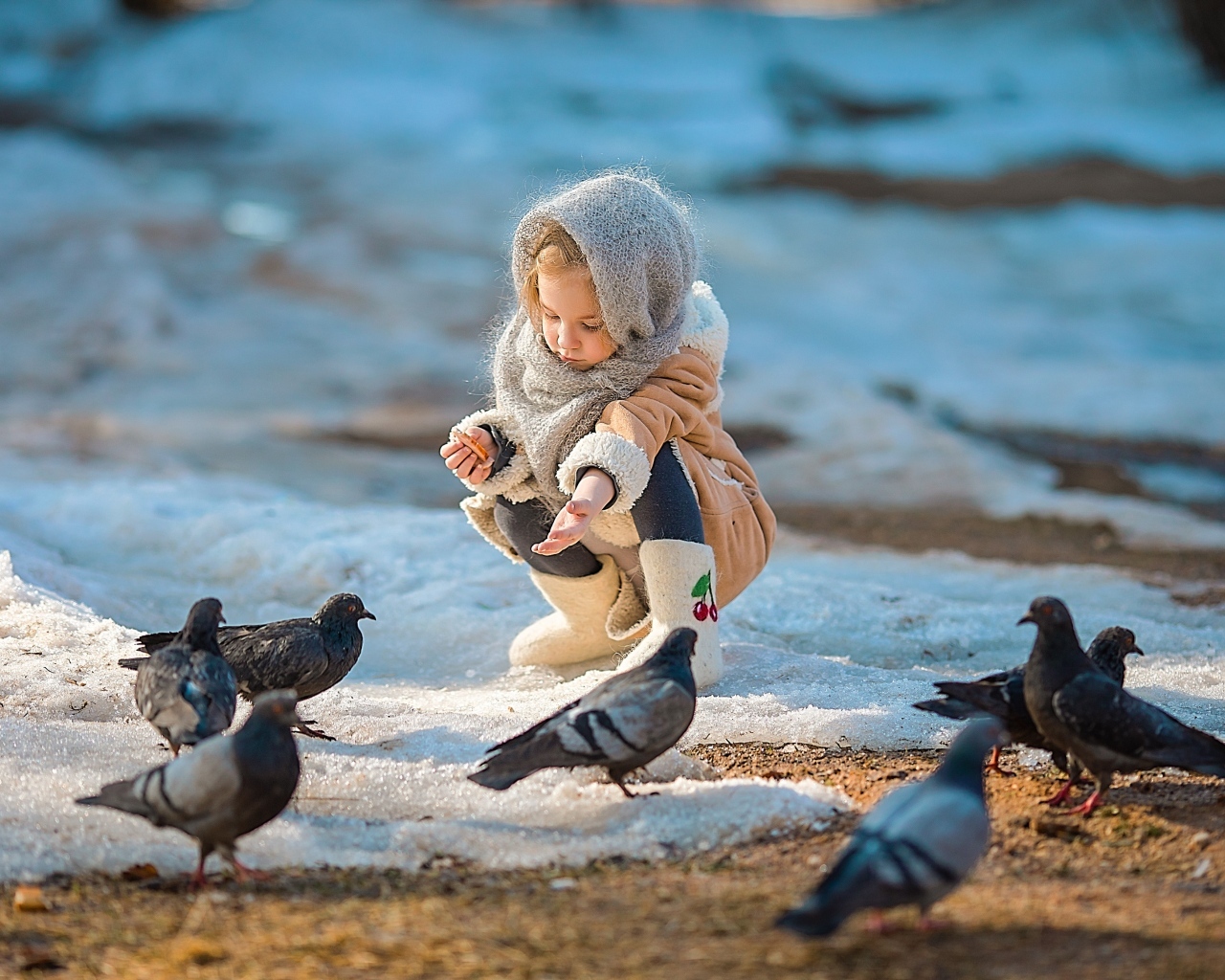 Маленькая девочка кормит голубей зимой
