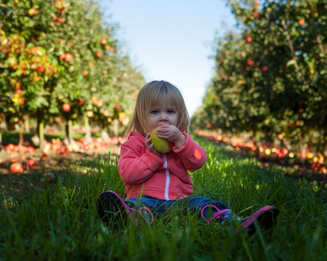 Маленькая девочка грызет яблоко в саду