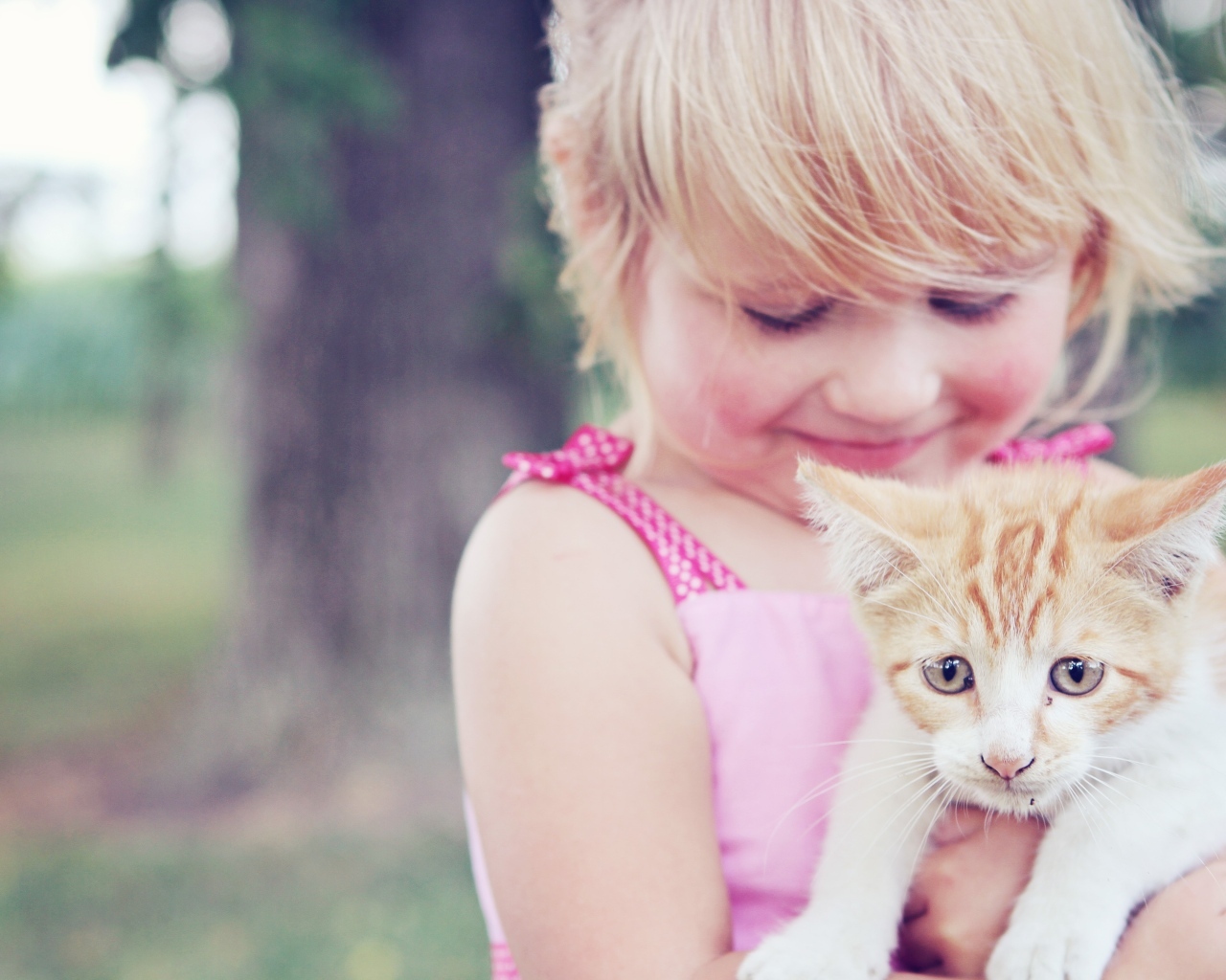 Маленькая девочка держит котенка в руках