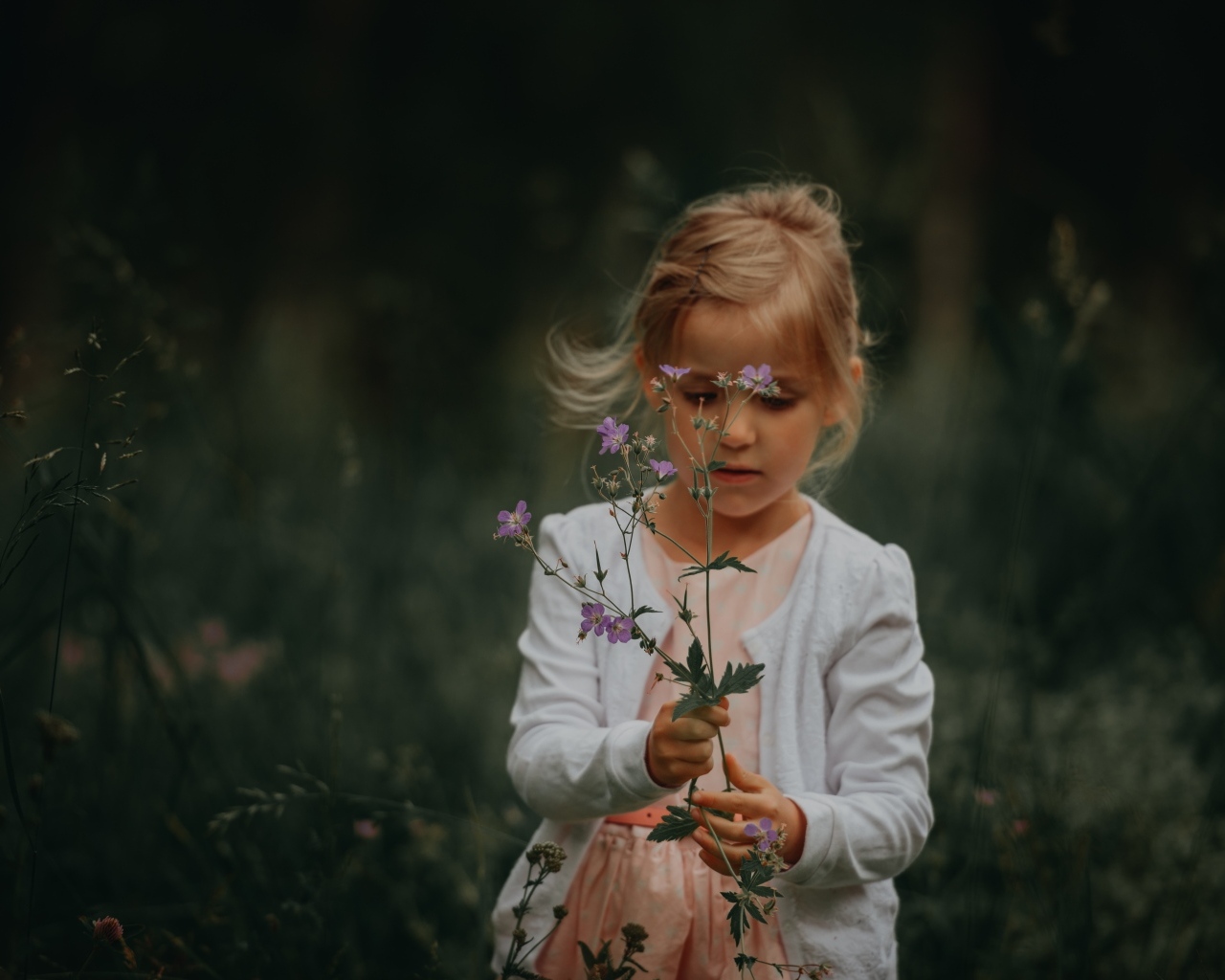 Маленькая девочка с полевыми  цветами в руках