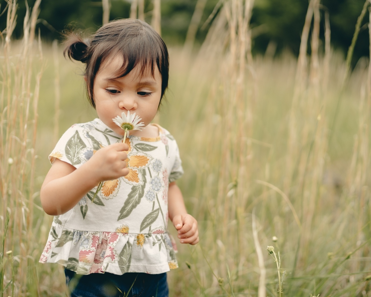 Маленькая девочка с ромашкой на поле