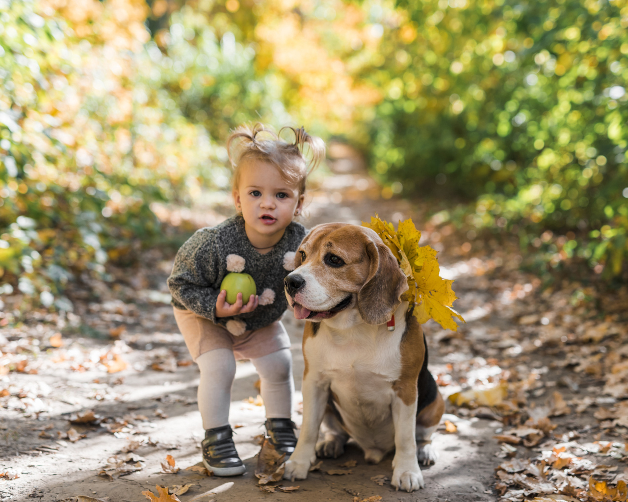Маленькая девочка с собакой в парке