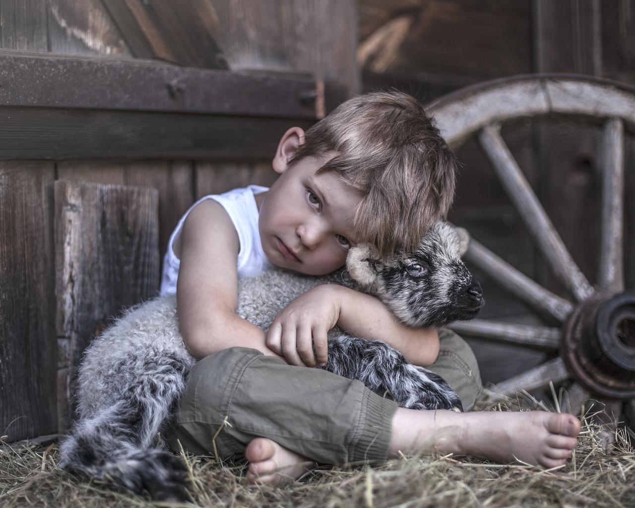 Маленький грустный мальчик обнимает ягненка
