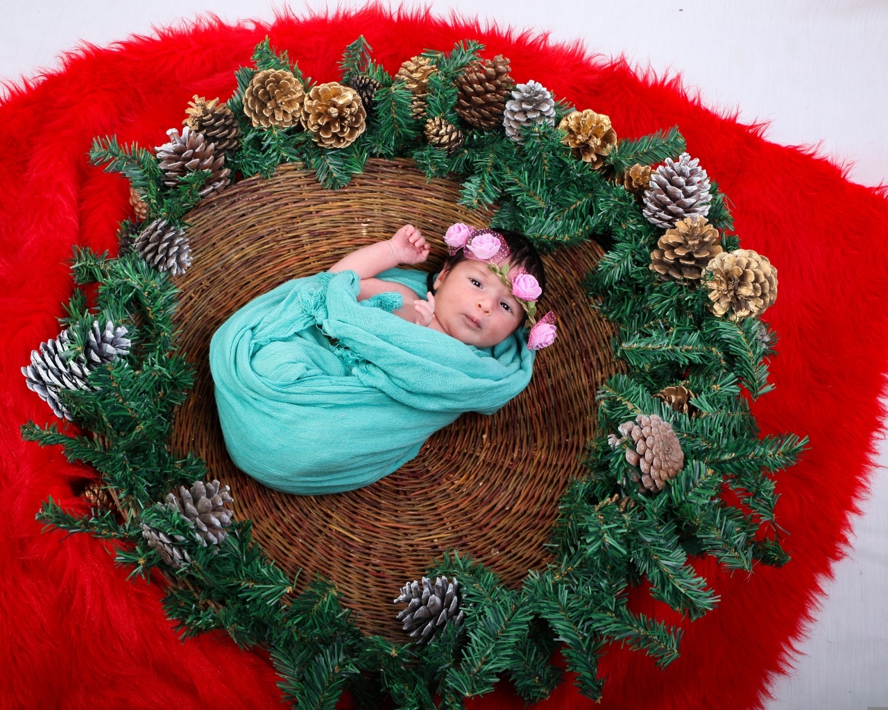 Новорожденная девочка в корзине с еловыми ветками