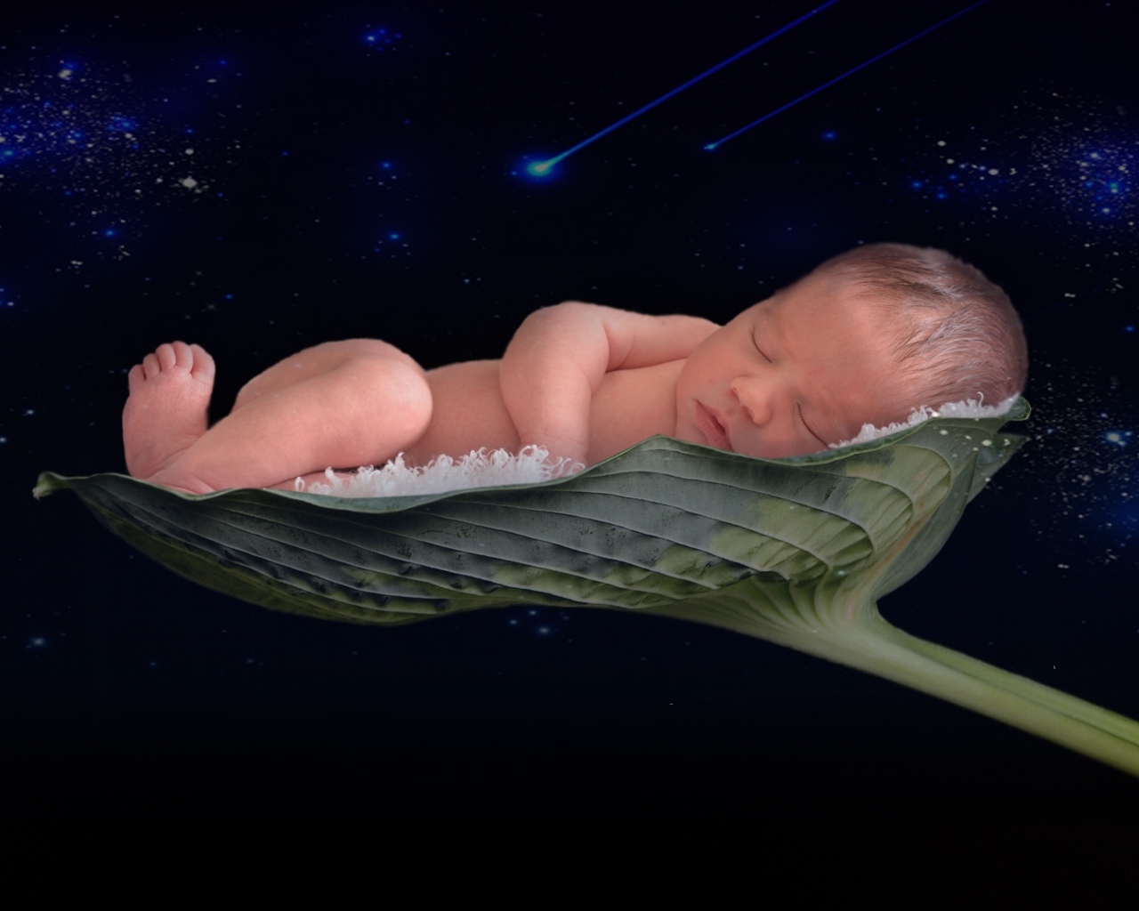 Новорожденный малыш спит на листе лотоса