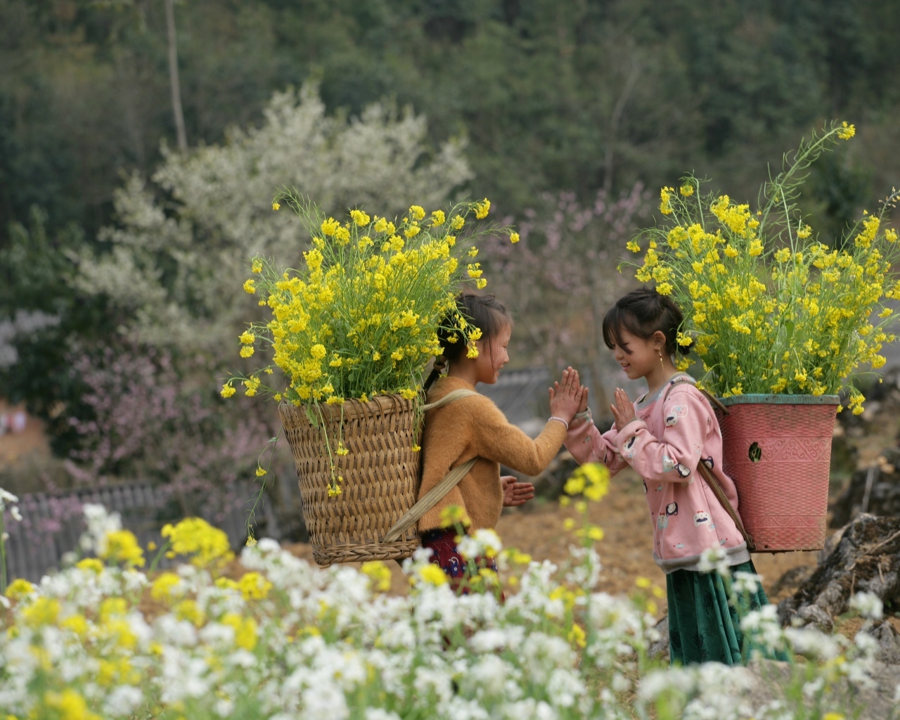 Две маленькие девочки азиатки с корзинами с желтыми цветами
