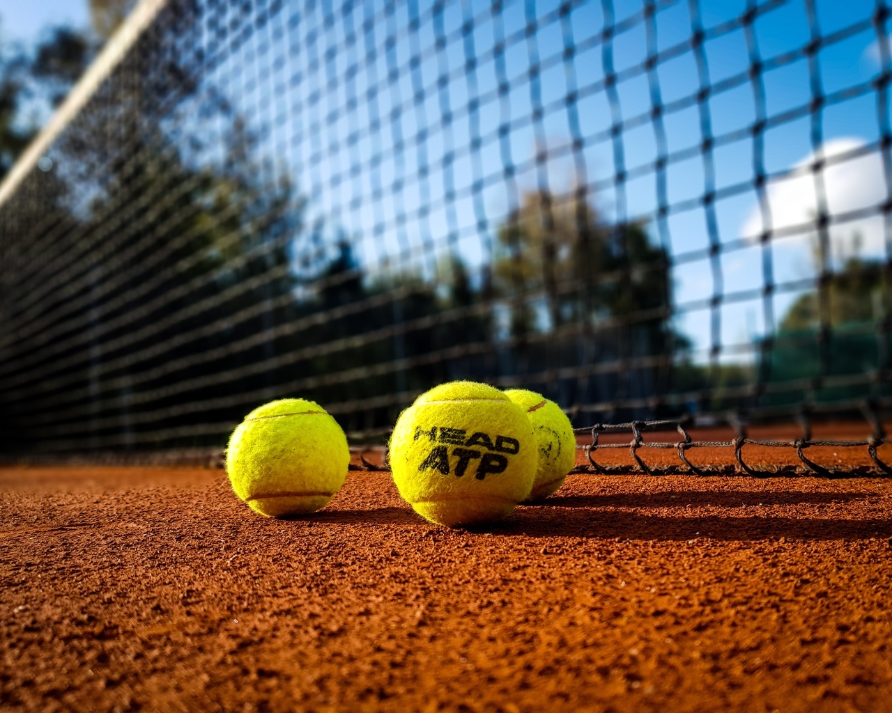 Желтые теннисные мячи на поле у сетки