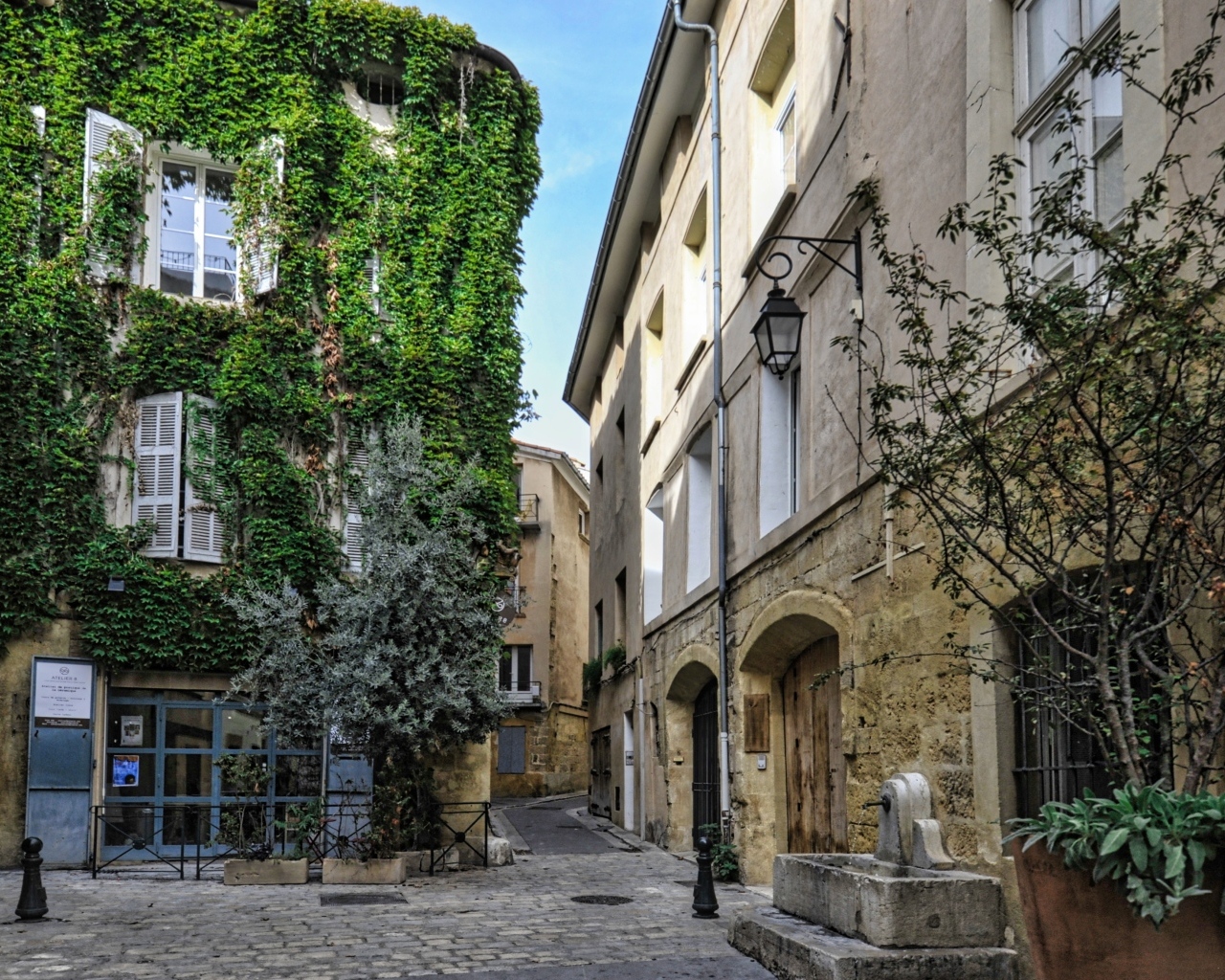 Покрытые зеленой растительностью дома на улице города