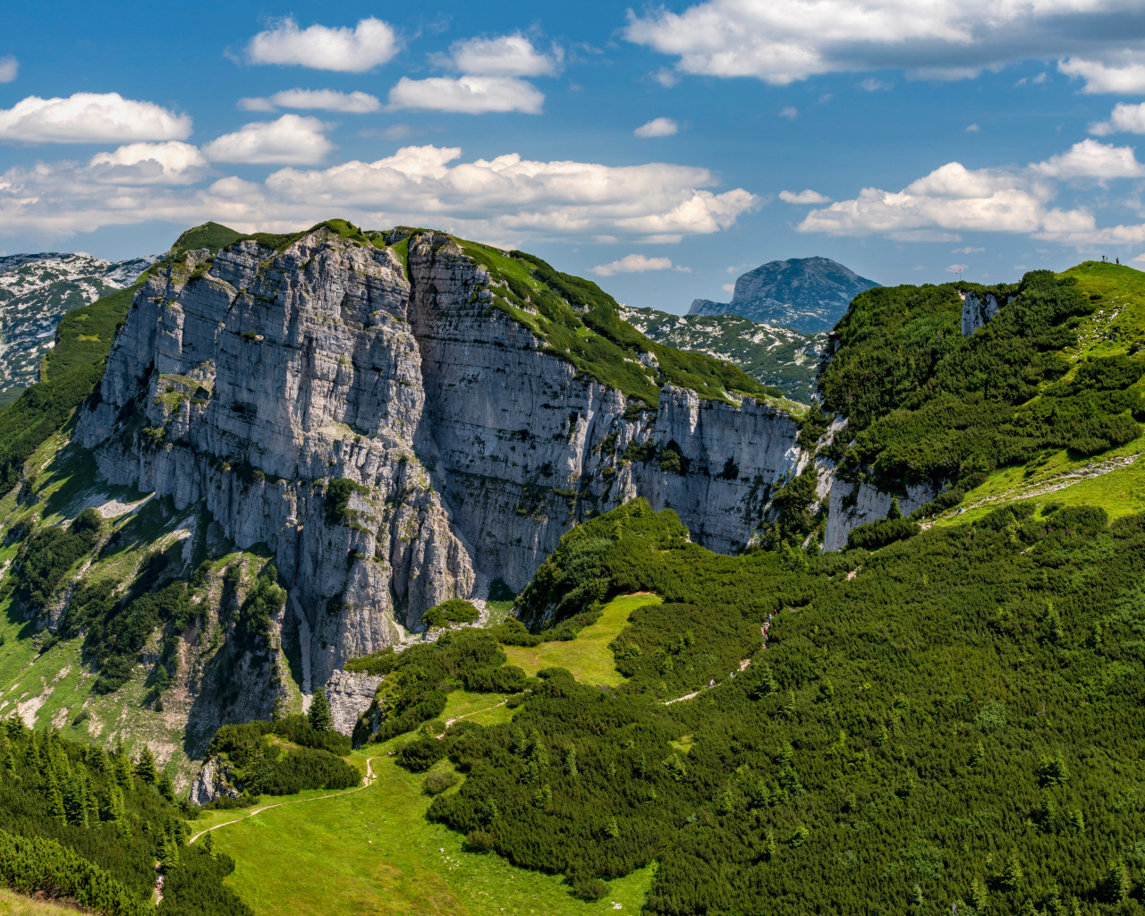 Вид на покрытые зеленью Австрийские Альпы