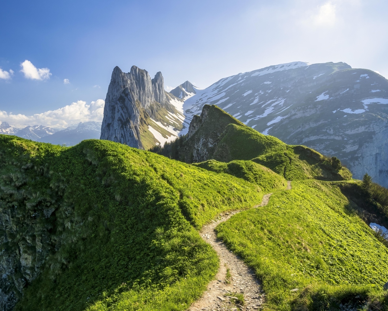 Красивый вид на покрытые зеленью Швейцарские Альпы
