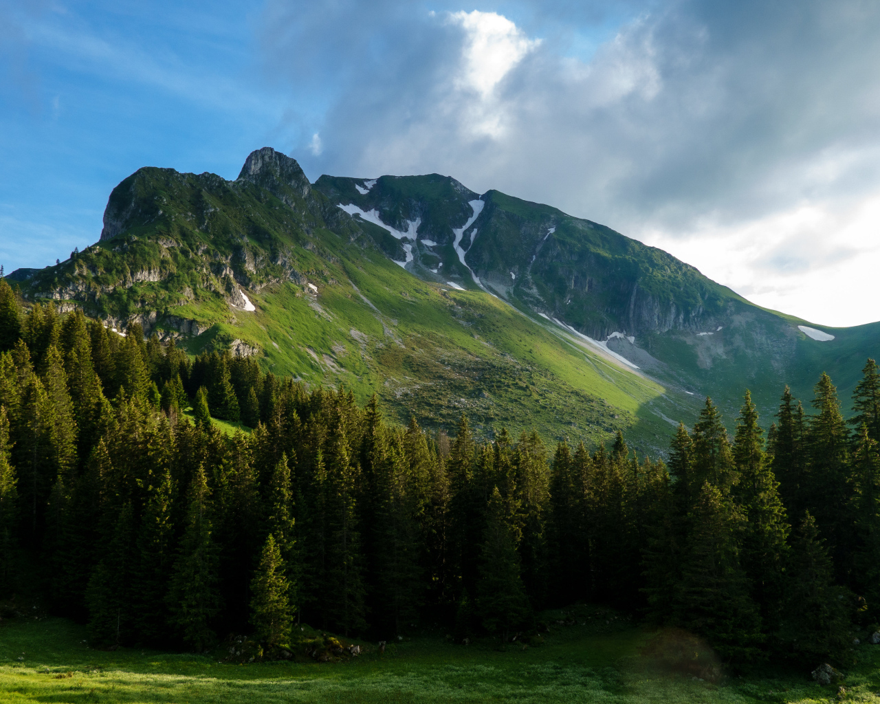Вид на покрытые растительностью Альпы, Швейцария