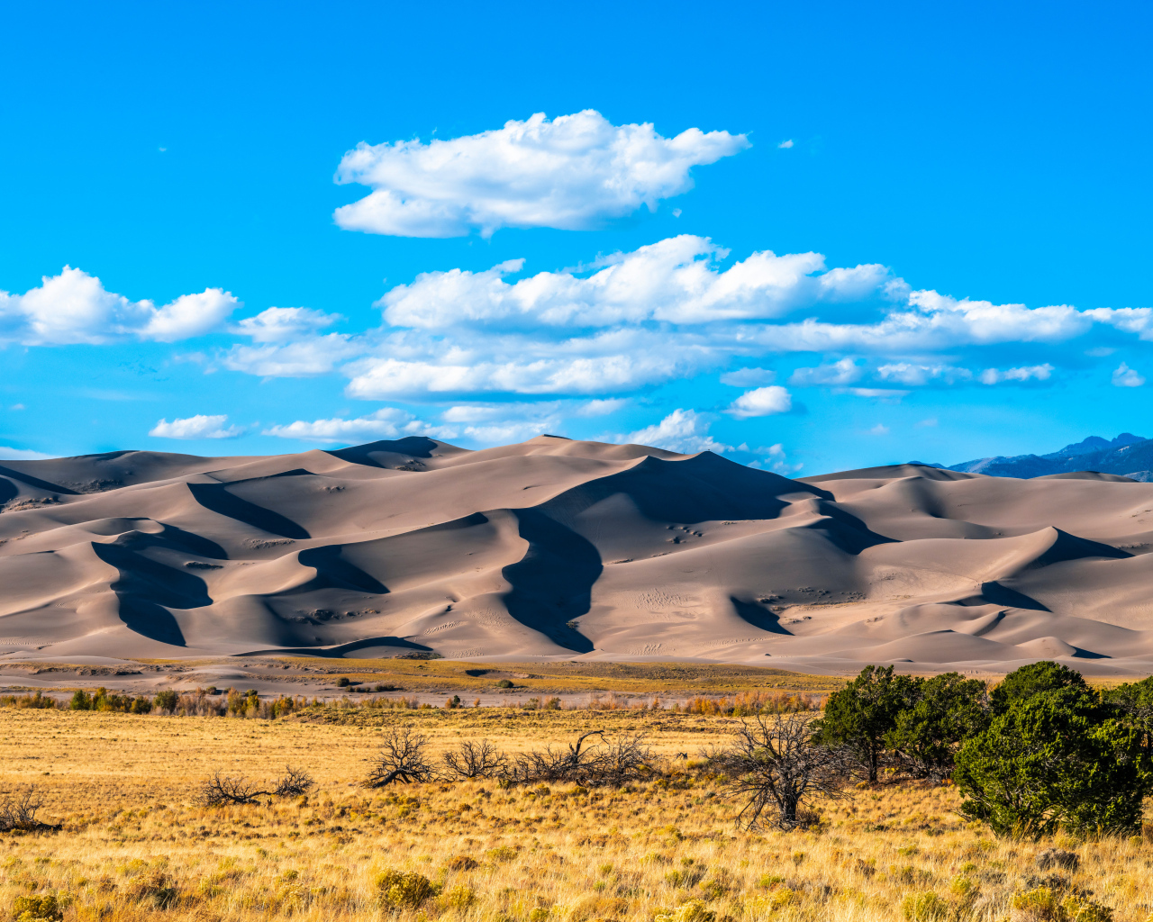 Песчаные бури национального парка Грейт-Санд-Дьюнс, США