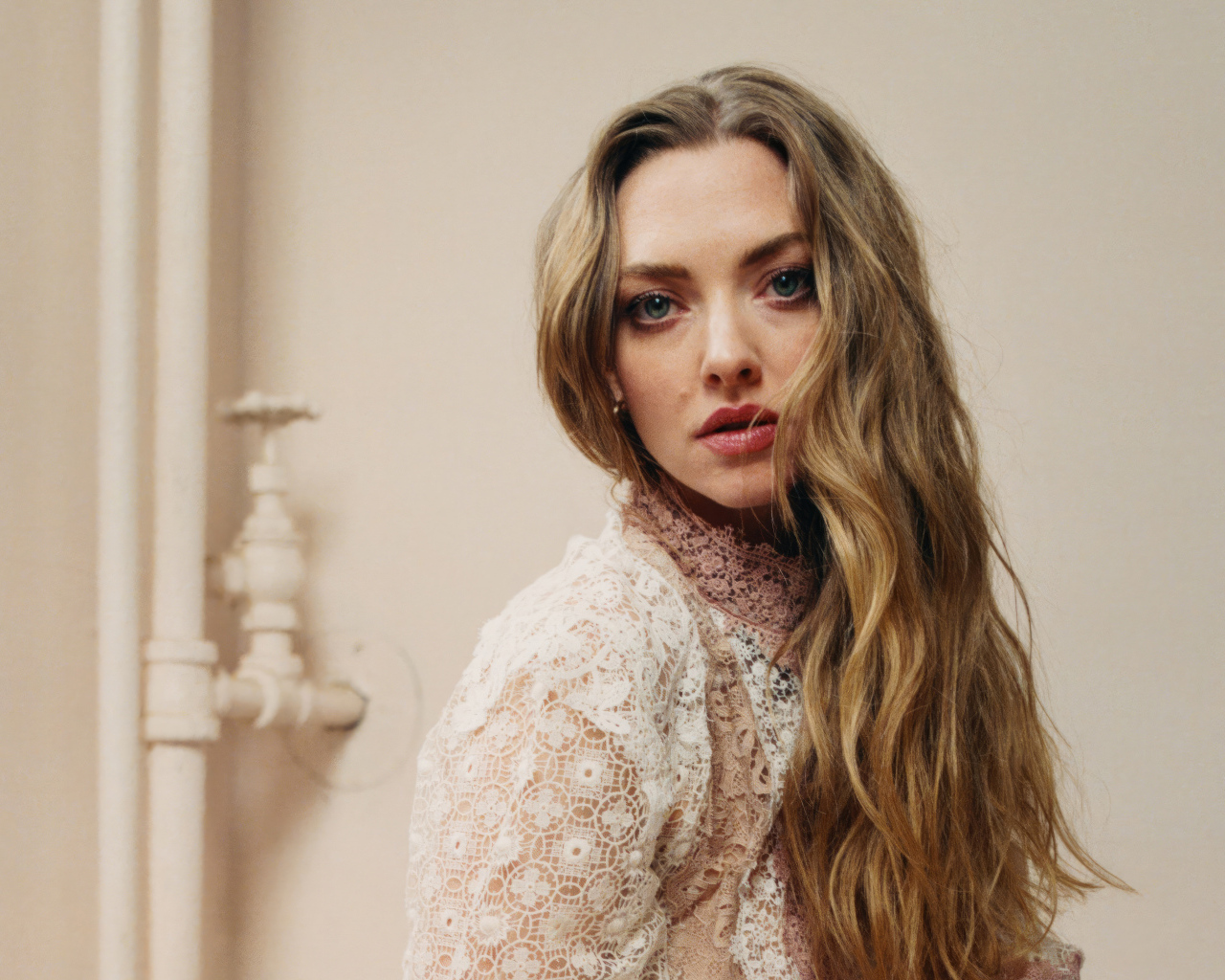 Американская актриса Аманда Сайфред в комнате