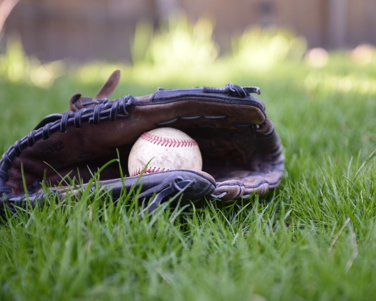 Бейсбольная перчатка и мяч на зеленой траве