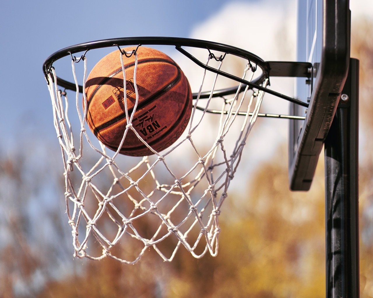 Баскетбольный мяч попал в кольцо