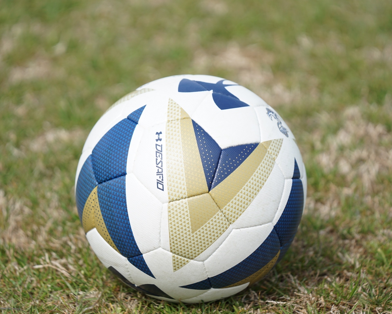 Большой футбольный мяч на поле