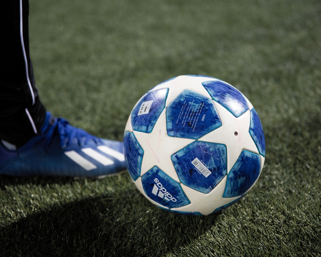 Синий футбольный мяч на зеленой траве поля