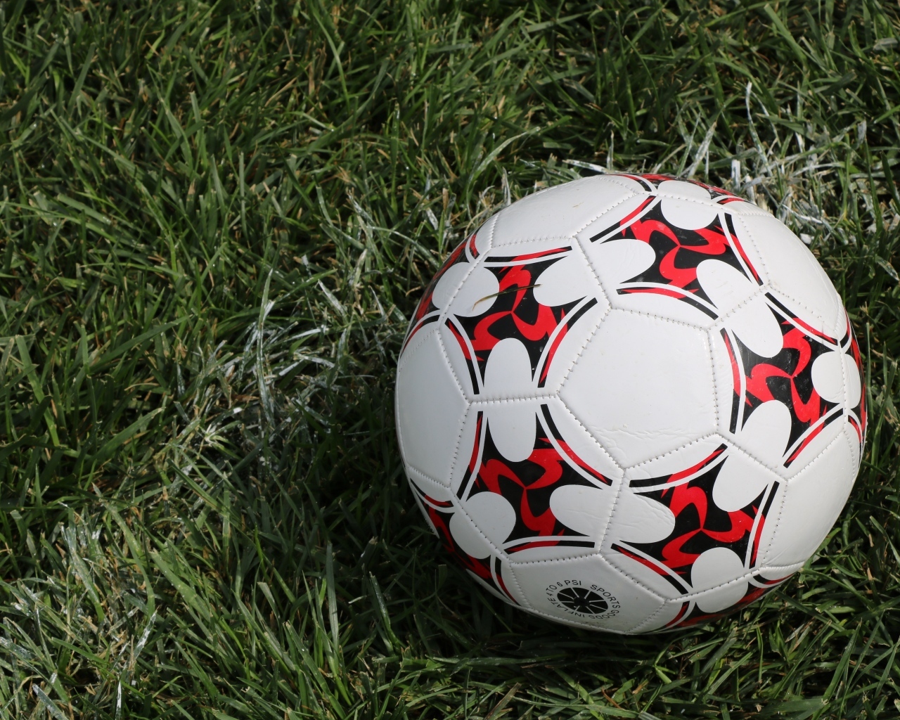 Кожаный футбольный мяч на зеленой траве