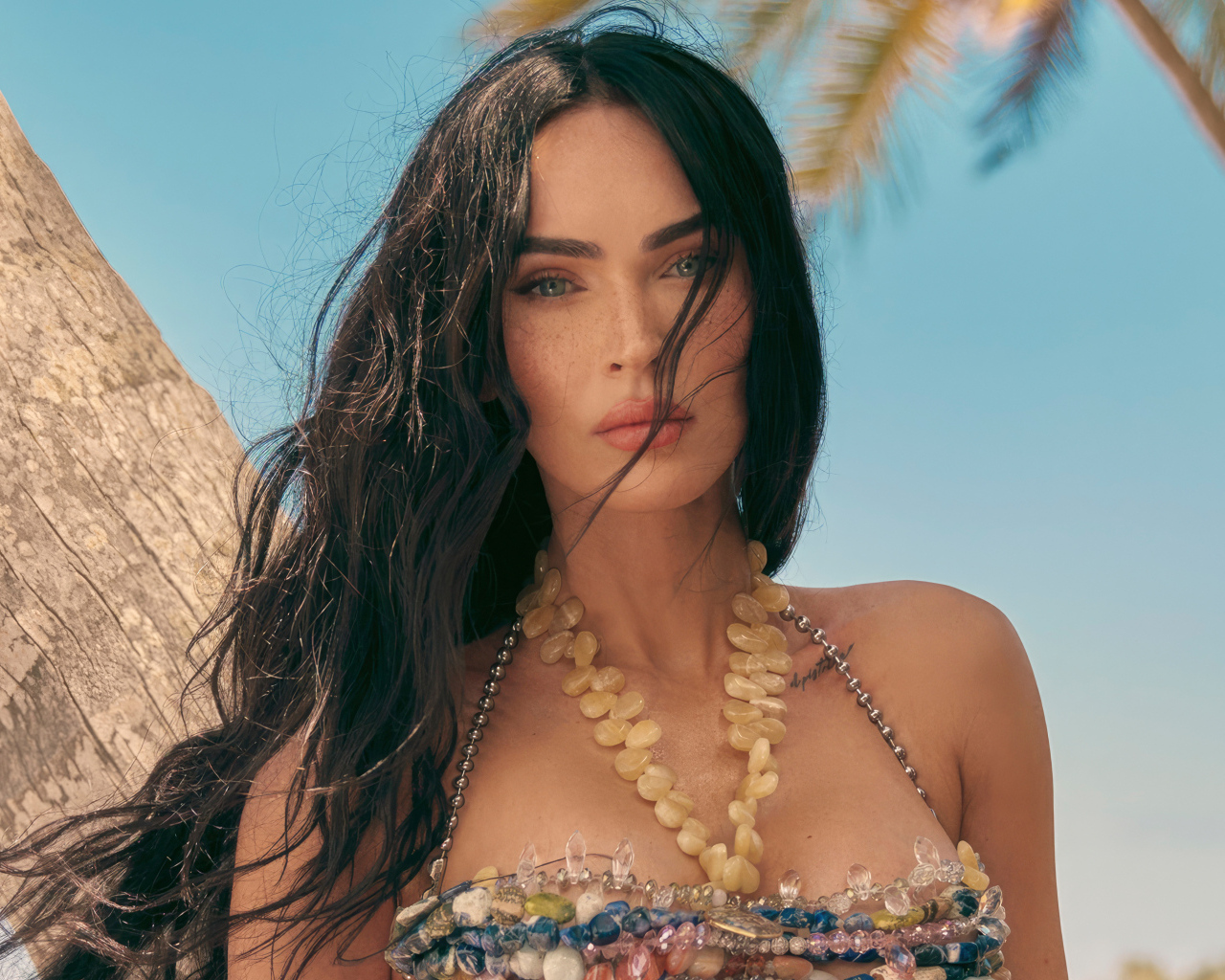 Длинноволосая брюнетка Меган Фокс на пляже