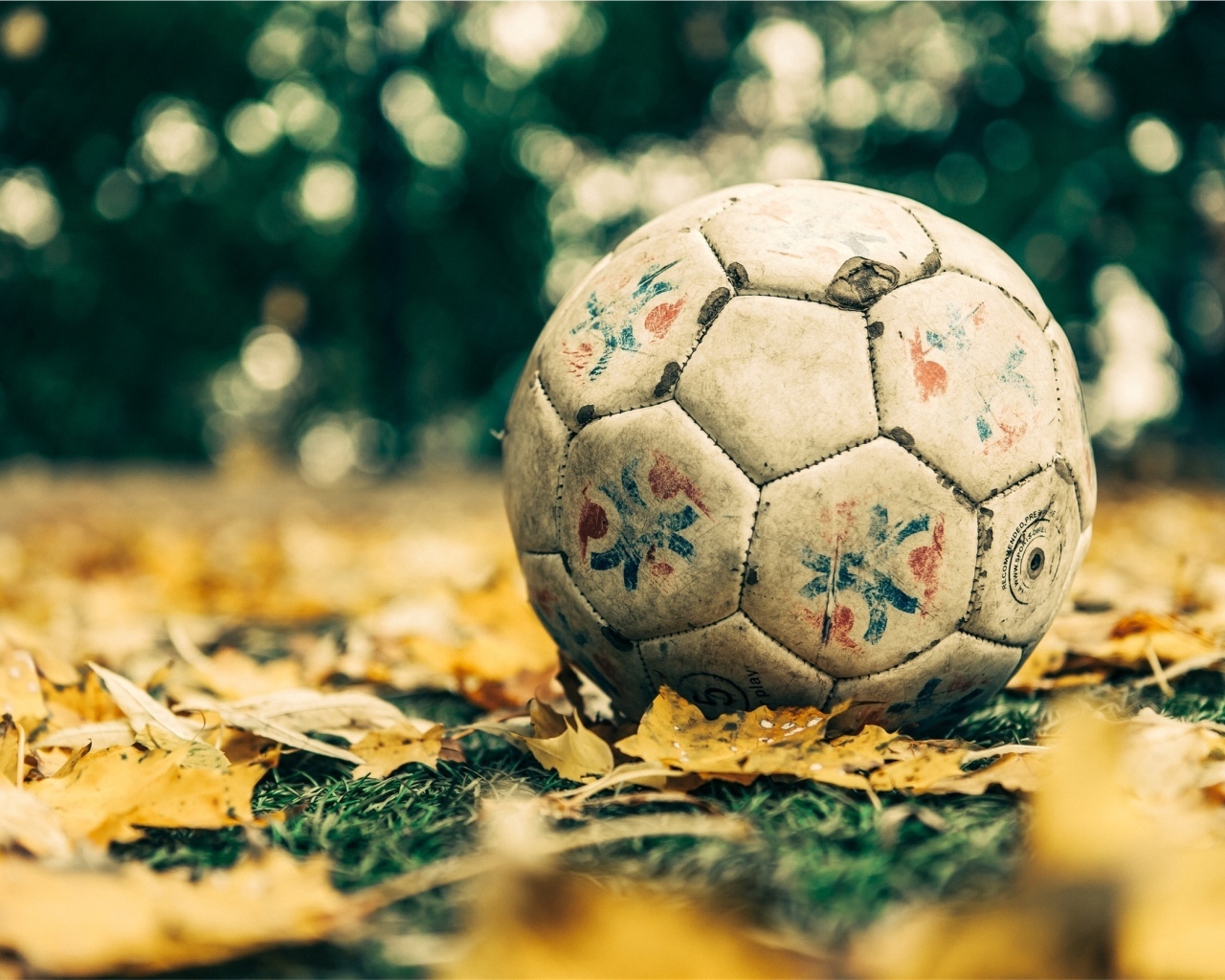 Старый футбольный мяч на листве 
