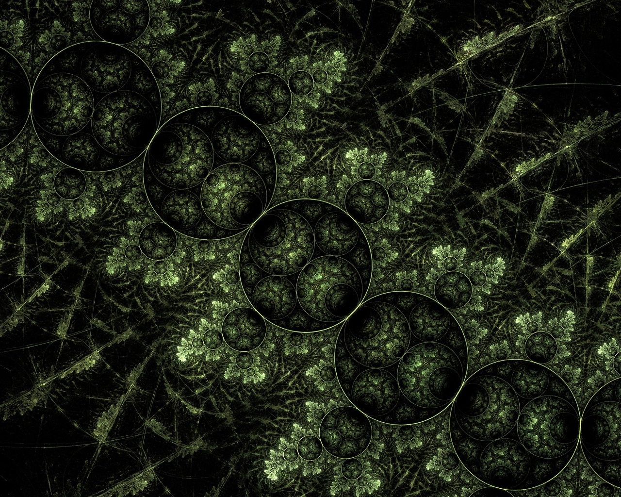 Зеленый растительный узор с кругами