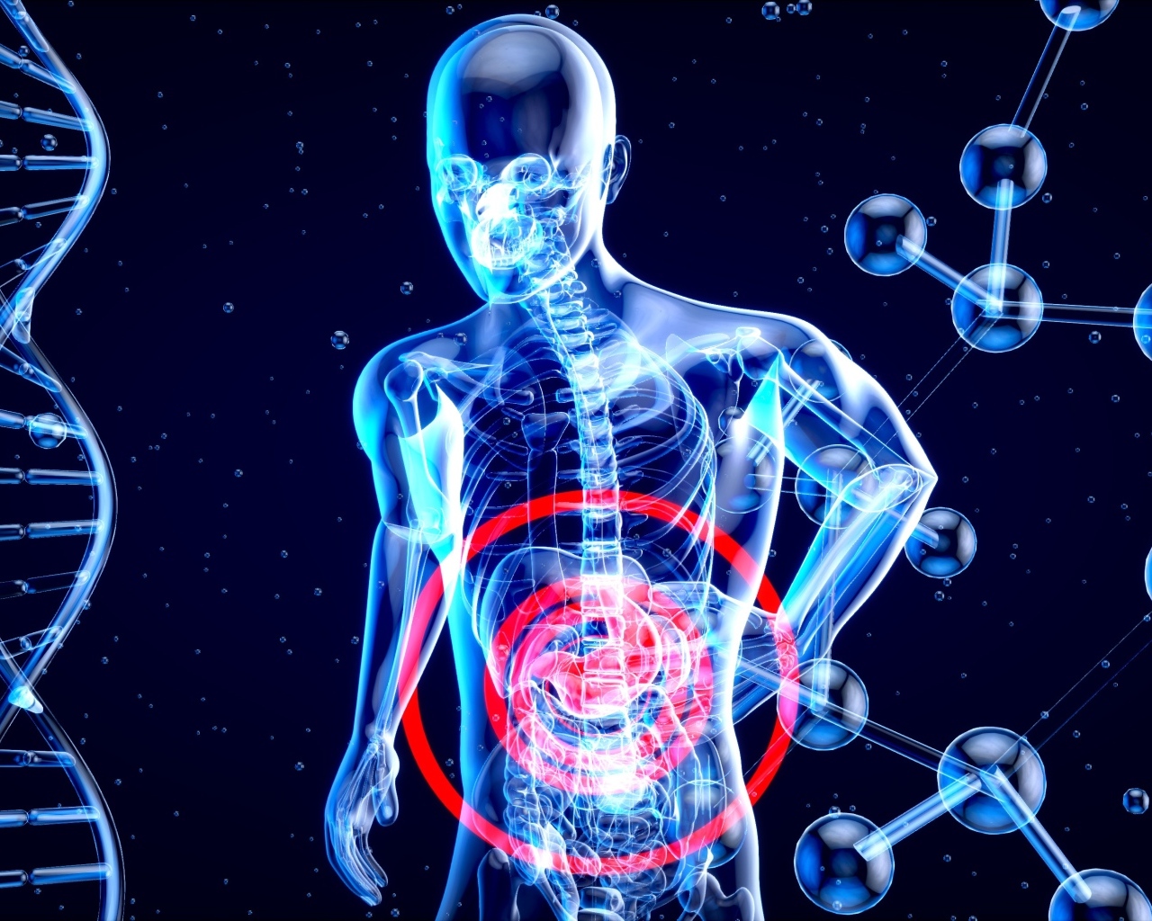 Скелет человека с  клетками на синем фоне