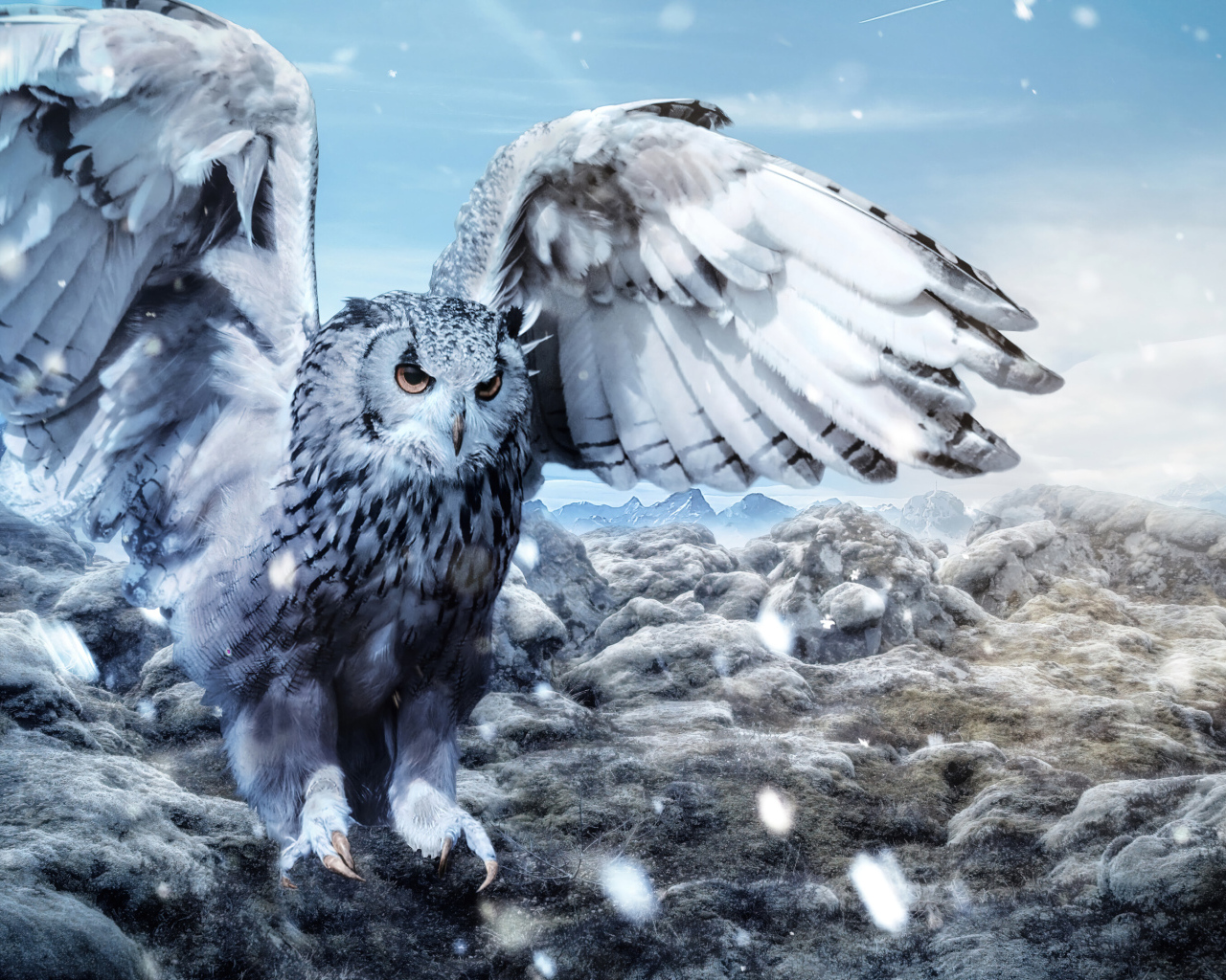 Большая сова расправила крылья 